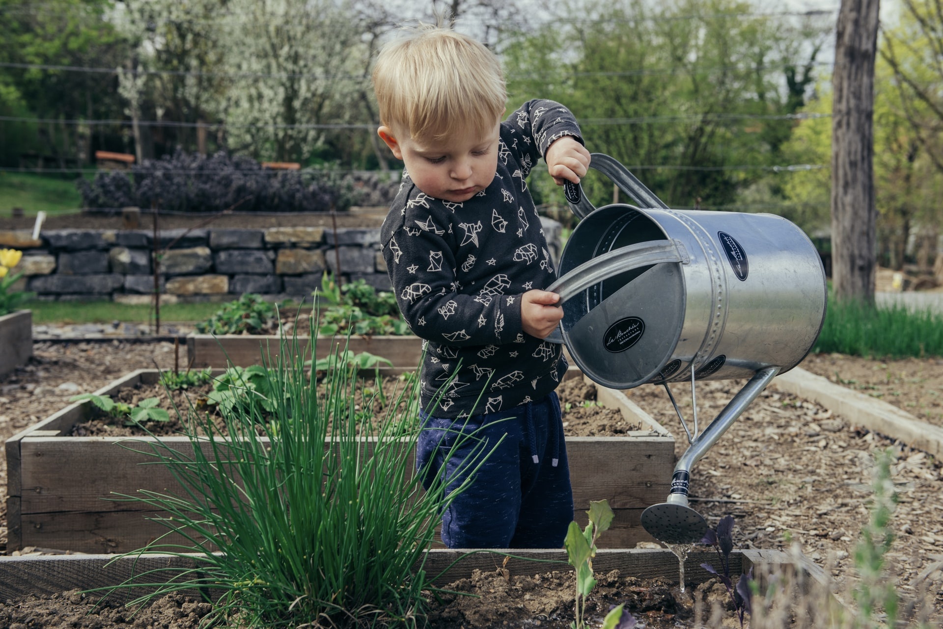 9 magazines to inspire your garden in 2021