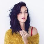 Katy Perry Net Worth 2021, Personal Life, Career