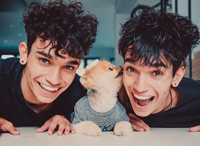 Dobre Brothers Net Worth 2021
